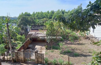 Chính chủ bán đất thổ cư Phường Phước Tân, Thành phố Đồng Nai